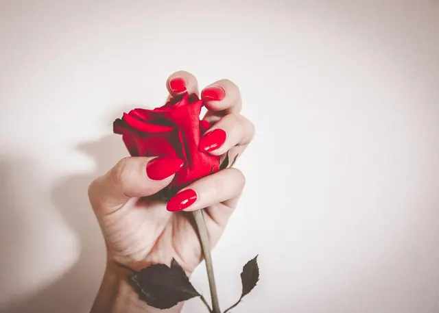 red, nature, nails, rose flower, flower wallpaper, manicure, girl, nails manicure, woman, glamour, polish, color, flower background, nail polish, make-up, beautiful flowers, rose,