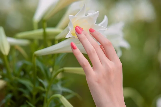 flowers, hand, nails, beautiful, flower wallpaper, bloom, beautiful flowers, blossom, flower background, nature, plant, petals, closeup. Nail salon cash flow: four weekly numbers owners can track