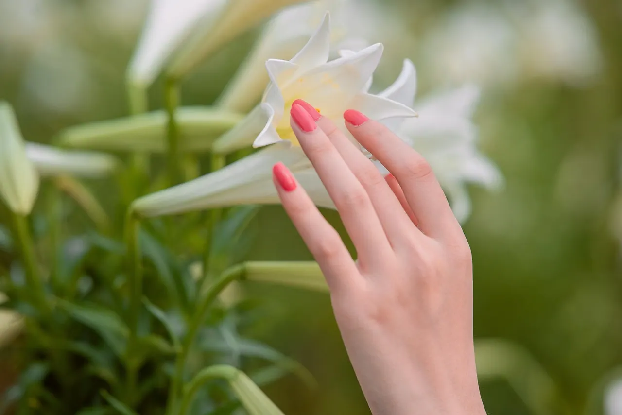 flowers, hand, nails, beautiful, bloom, blossom, flower wallpaper, flower background, nature, plant, petals, beautiful flowers, closeup. Nail salon KPIs owners should track monthly